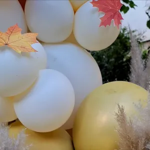 تم تولد طلایی سفید