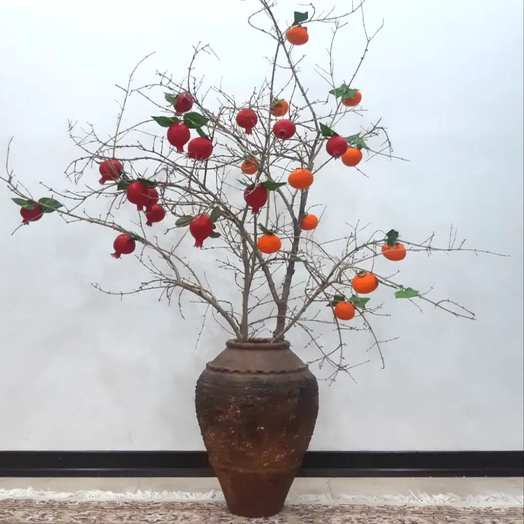 درختچه یلدایی بادکنکی