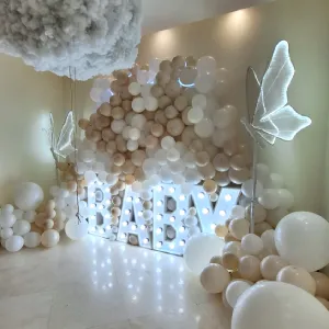 تم تعیین جنسیت نوزاد