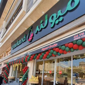 بادکنک آرایی افتتاحیه ساده