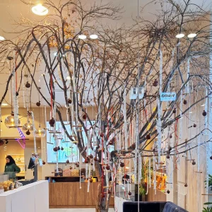 درخت ویترین مغازه