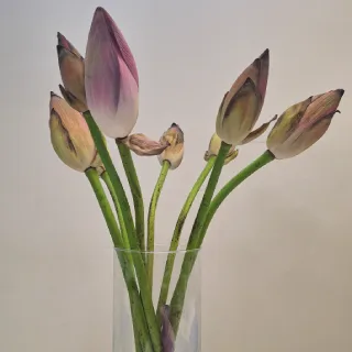 دسته گل نیلوفر آبی با جام شیشه ای رومیزی