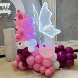 تم تولد پروانه