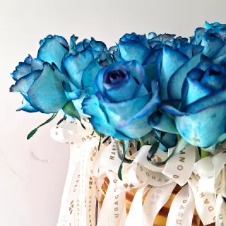 گل رز آبی و سرخابی