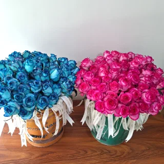 گل رز آبی و سرخابی