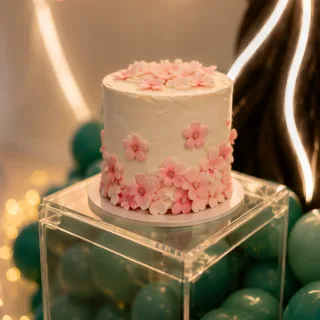 تم ساکورا اسکول